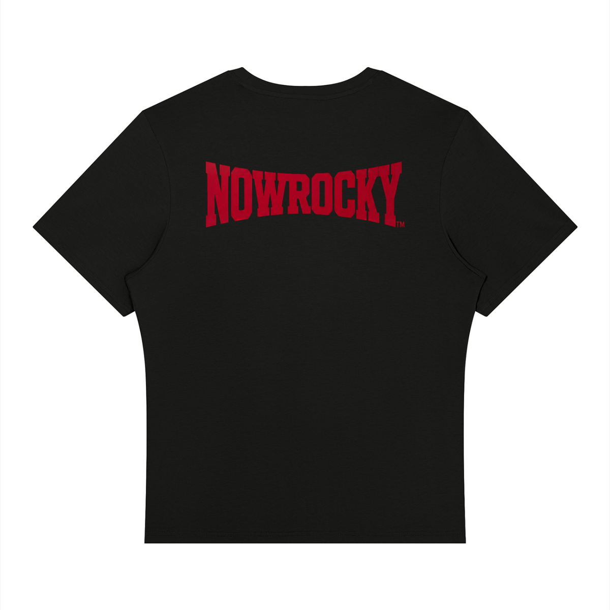 T-shirt Treningowy Regular Fit – Nowrocky™ — t-shirt regular fit od tyłu na modelce